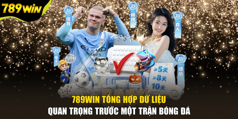 789WIN tổng hợp dữ liệu quan trọng trước một trận bóng đá