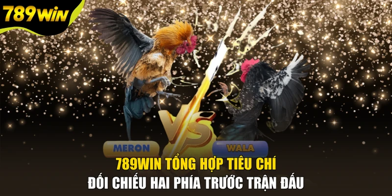 789WIN tổng hợp tiêu chí đối chiếu hai phía trước trận đấu