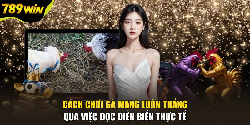 Cách chơi gà mạng luôn thắng qua việc đọc diễn biến thực tế
