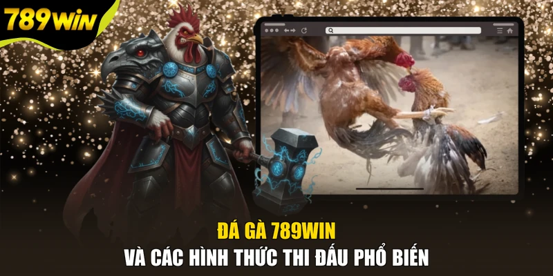 Đá gà 789WIN và các hình thức thi đấu phổ biến
